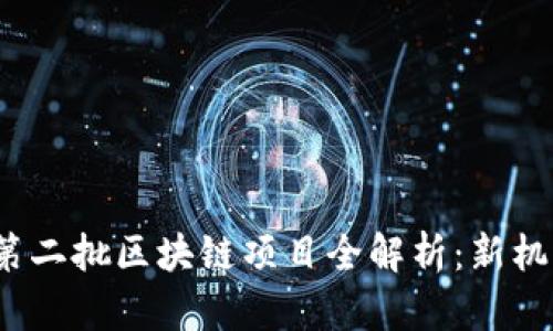 2023年第二批区块链项目全解析：新机遇与挑战