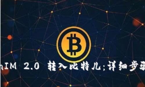 如何将TokenIM 2.0 转入比特儿：详细步骤与注意事项