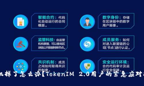 手机掉了怎么办？TokenIM 2.0用户的紧急应对指南