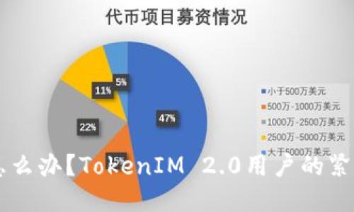 手机掉了怎么办？TokenIM 2.0用户的紧急应对指南