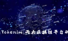 探索Meet.one与Tokenim：两大区块链平台的深度比较