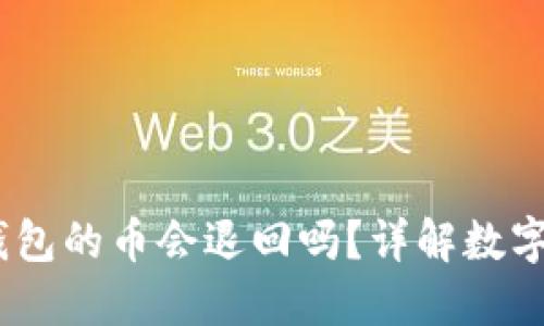 Tokenim 2.0 钱包的币会退回吗？详解数字资产安全与管理