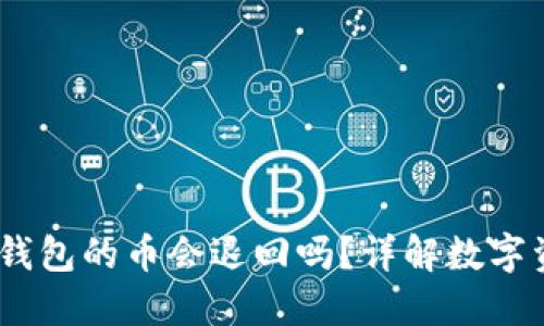 Tokenim 2.0 钱包的币会退回吗？详解数字资产安全与管理