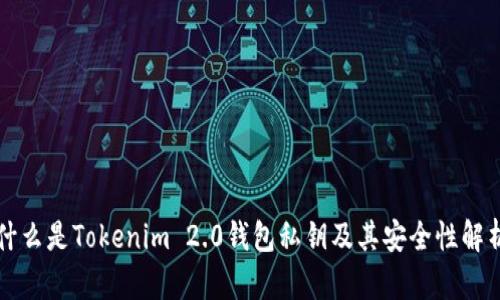 什么是Tokenim 2.0钱包私钥及其安全性解析