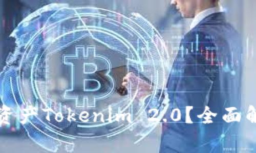 ### 什么是DEW资产Tokenim 2.0？全面解析数字资产的新贵