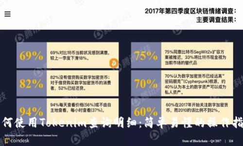 如何使用Tokenim查询明细：简单易懂的操作指南