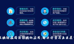 区块链在司法领域的应用：解决方案与未来展望