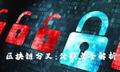 区块链分叉：优缺点全解析