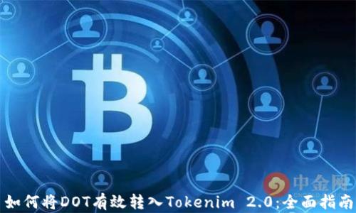 
如何将DOT有效转入Tokenim 2.0：全面指南