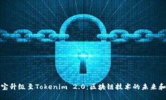 公信宝升级至Tokenim 2.0：区块链技术的未来和机遇