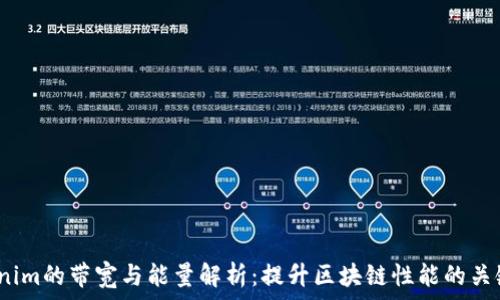   
  Tokenim的带宽与能量解析：提升区块链性能的关键因素 