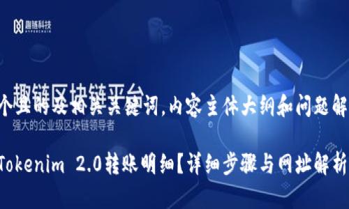 以下是一个且的及相关关键词，内容主体大纲和问题解答的结构。

如何查询Tokenim 2.0转账明细？详细步骤与网址解析
