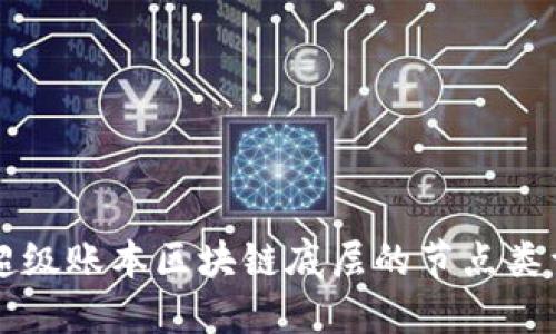 深入探讨超级账本区块链底层的节点类型及其功能