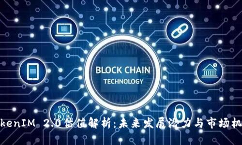 TokenIM 2.0估值解析：未来发展潜力与市场机会