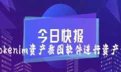 如何使用Tokenim资产截图软件进行资产管理与分析