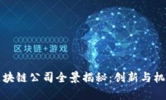 贵州区块链公司全景揭秘：创新与机遇并存