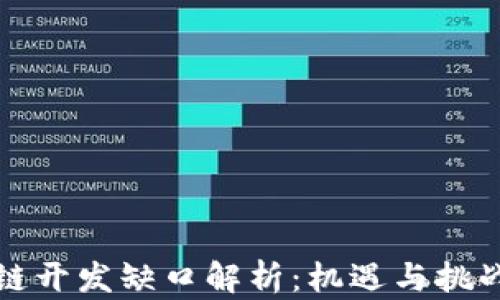 
区块链开发缺口解析：机遇与挑战并存
