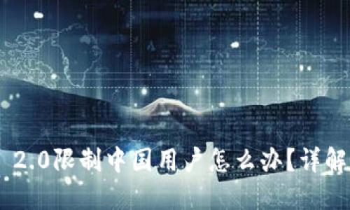 Tokenim 2.0限制中国用户怎么办？详解解决方案