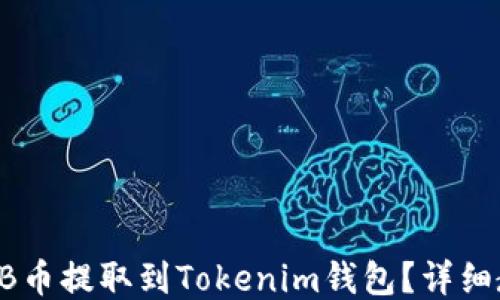 
如何将SHIB币提取到Tokenim钱包？详细教程与技巧