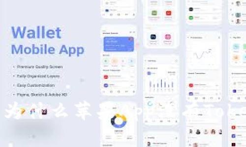 深入了解：为什么苹果App没有TokenIM功能？