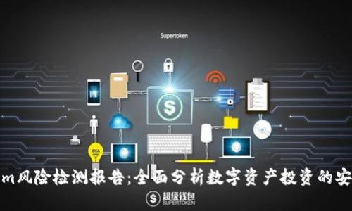Tokenim风险检测报告：全面分析数字资产投资的安全隐患