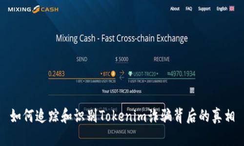 如何追踪和识别Tokenim诈骗背后的真相