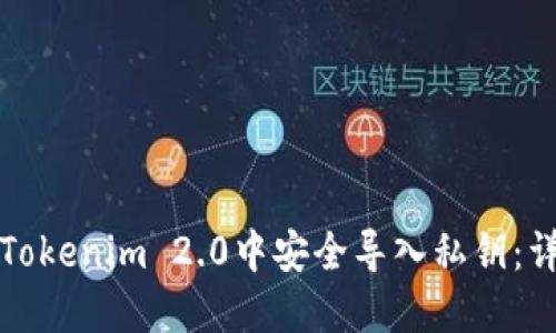 如何在Tokenim 2.0中安全导入私钥：详细指南