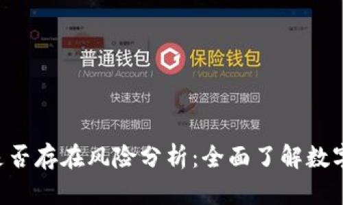 TokenPocket是否存在风险分析：全面了解数字钱包的安全性