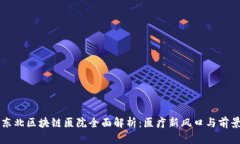 大连东北区块链医院全面解析：医疗新风口与前