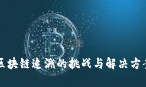 区块链追溯的挑战与解决方案