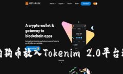 如何将狗狗币放入Tokenim 2.0平台进行投资