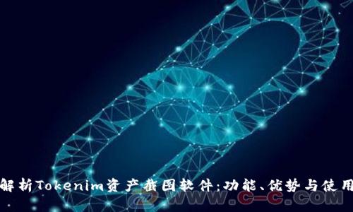 全面解析Tokenim资产截图软件：功能、优势与使用技巧