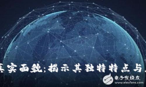 区块链真实面貌：揭示其独特特点与应用潜力