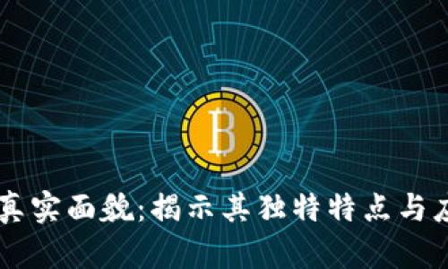 区块链真实面貌：揭示其独特特点与应用潜力