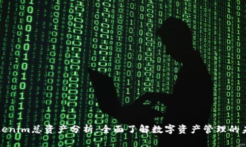 Tokenim总资产分析：全面了解数字资产管理的未来
