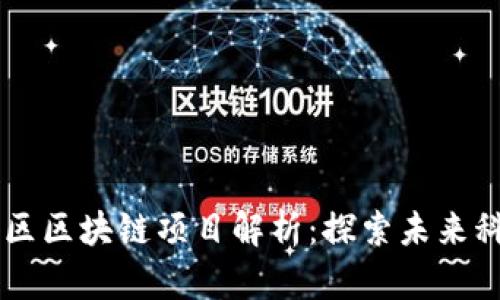 南京东城区区块链项目解析：探索未来科技与应用